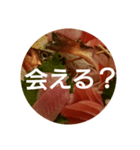 oh, sashimi sticker（個別スタンプ：8）
