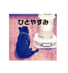 ガッツのスタンプ（個別スタンプ：16）