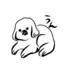 犬のポポン（個別スタンプ：1）