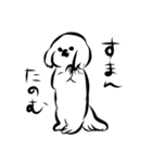 犬のポポン（個別スタンプ：8）
