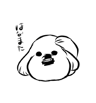 犬のポポン（個別スタンプ：11）