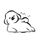犬のポポン（個別スタンプ：13）
