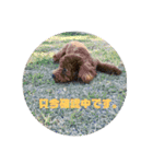 ひらこももスタンプ1（個別スタンプ：3）