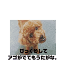 ひらこももスタンプ1（個別スタンプ：7）