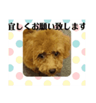 ひらこももスタンプ1（個別スタンプ：16）