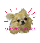 はなっぺスタンプ1（個別スタンプ：3）