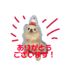 はなっぺスタンプ1（個別スタンプ：7）