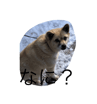 ルル（冬編）（個別スタンプ：6）