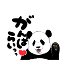 パピヨン_パピィ（個別スタンプ：11）