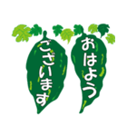 沖縄ごーやー（個別スタンプ：1）