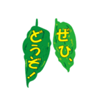 沖縄ごーやー（個別スタンプ：5）