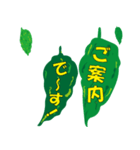 沖縄ごーやー（個別スタンプ：6）
