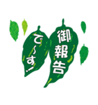 沖縄ごーやー（個別スタンプ：7）