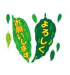 沖縄ごーやー（個別スタンプ：11）