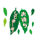 沖縄ごーやー（個別スタンプ：13）