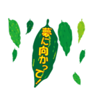 沖縄ごーやー（個別スタンプ：15）