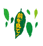 沖縄ごーやー（個別スタンプ：16）