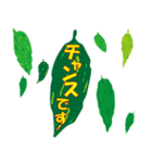 沖縄ごーやー（個別スタンプ：17）