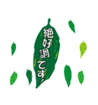 沖縄ごーやー（個別スタンプ：30）