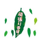沖縄ごーやー（個別スタンプ：31）