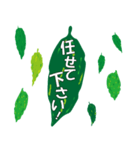 沖縄ごーやー（個別スタンプ：32）