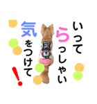 Pooco2（個別スタンプ：23）