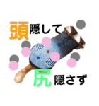Pooco2（個別スタンプ：24）