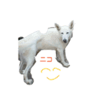 O.K.B^_^（個別スタンプ：2）