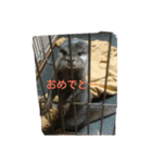 O.K.B^_^（個別スタンプ：4）