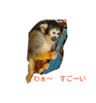 O.K.B^_^（個別スタンプ：5）