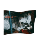 O.K.B^_^（個別スタンプ：6）