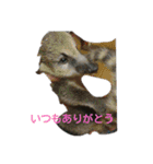 O.K.B^_^（個別スタンプ：11）