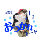 サラスタンプ4（個別スタンプ：12）