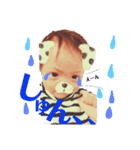 サラスタンプ4（個別スタンプ：14）