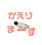 陽菜さん0歳のスタンプ（個別スタンプ：9）