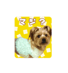 ウチのるく様（個別スタンプ：2）