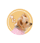 ウチのるく様（個別スタンプ：7）