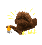 クウちゃん's DAYS（個別スタンプ：2）