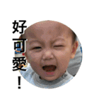 維維的日常生活（個別スタンプ：25）