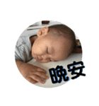 維維的日常生活（個別スタンプ：31）