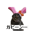 すたまるくんスタンプ（個別スタンプ：28）