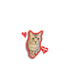 あおくんHappy Valentine バージョン（個別スタンプ：5）
