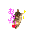 まいぺーすミーちゃん（個別スタンプ：7）
