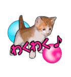 にゃにゃんと！ 猫スタンプ 2（個別スタンプ：6）
