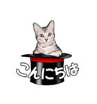 にゃにゃんと！ 猫スタンプ 2（個別スタンプ：10）