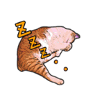 にゃにゃんと！ 猫スタンプ 2（個別スタンプ：15）