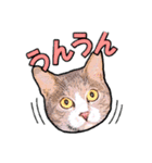 にゃにゃんと！ 猫スタンプ 1  改訂版（個別スタンプ：13）