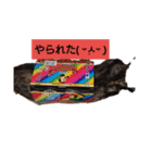 私のむぅ（個別スタンプ：3）