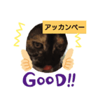 私のむぅ（個別スタンプ：7）