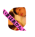 岡山の狂犬！まあぼう！（個別スタンプ：9）